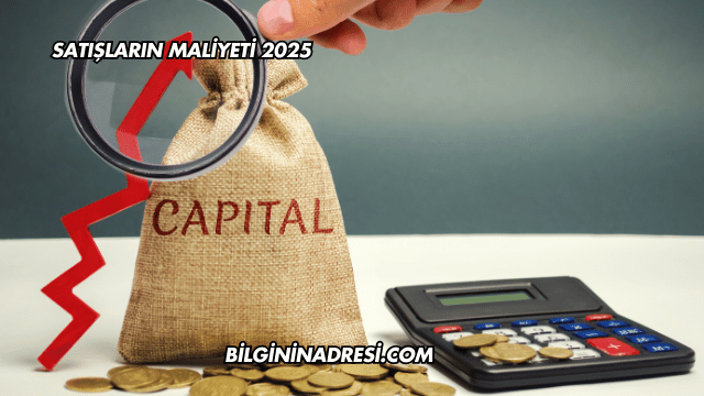 Satışların Maliyeti 2025