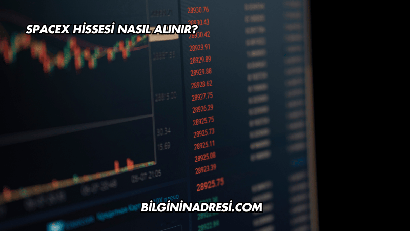 SpaceX Hissesi Nasıl Alınır?