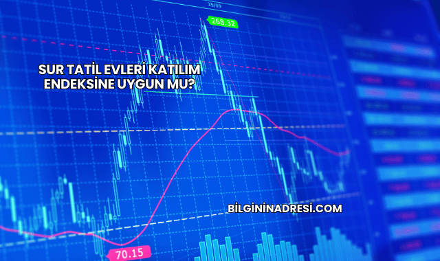 Sur Tatil Evleri Katılım Endeksine Uygun mu?