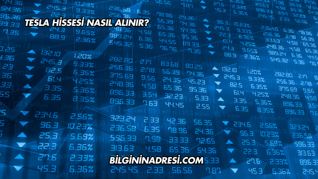 Tesla Hissesi Nasıl Alınır?