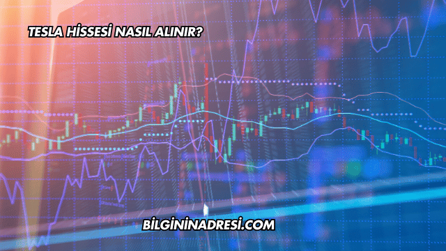 Tesla Hissesi Nasıl Alınır?