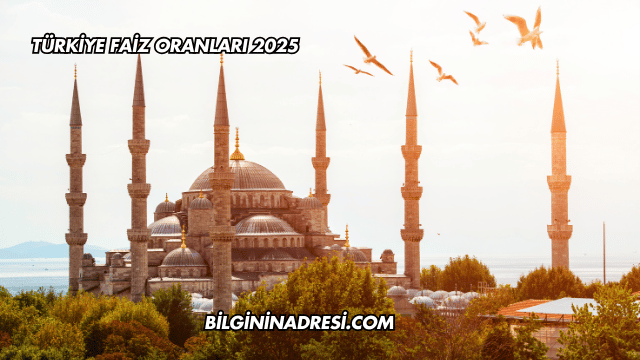 Türkiye Faiz Oranları 2025