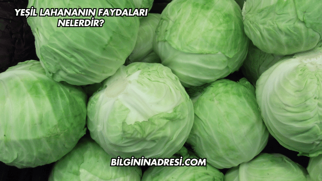 Yeşil Lahananın Faydaları Nelerdir?