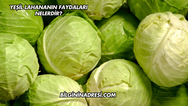 Yeşil Lahananın Faydaları Nelerdir?