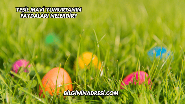 Yeşil Mavi Yumurtanın Faydaları Nelerdir?