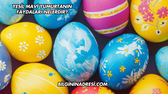 Yeşil Mavi Yumurtanın Faydaları Nelerdir?