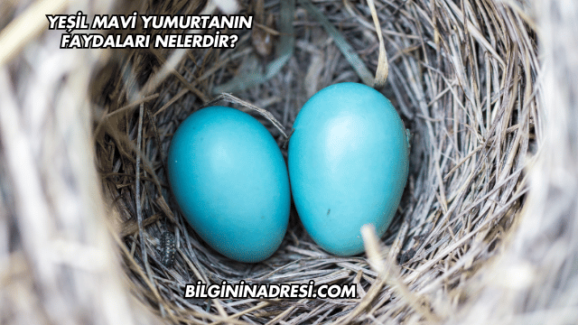 Yeşil Mavi Yumurtanın Faydaları Nelerdir?