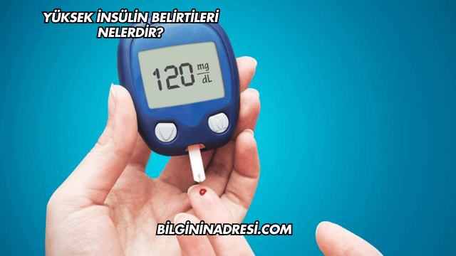 Yüksek İnsülin Belirtileri Nelerdir?