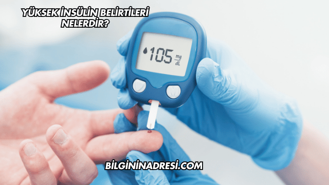 Yüksek İnsülin Belirtileri Nelerdir?