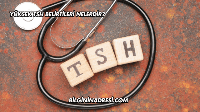 Yüksek TSH Belirtileri Nelerdir?
