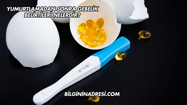 Yumurtlamadan Sonra Gebelik Belirtileri Nelerdir?