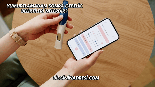 Yumurtlamadan Sonra Gebelik Belirtileri Nelerdir?