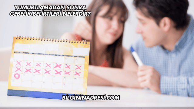 Yumurtlamadan Sonra Gebelik Belirtileri Nelerdir?