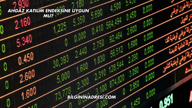 Ahgaz Katılım Endeksine Uygun mu?