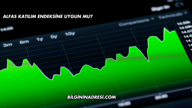 Alfas Katılım Endeksine Uygun mu?