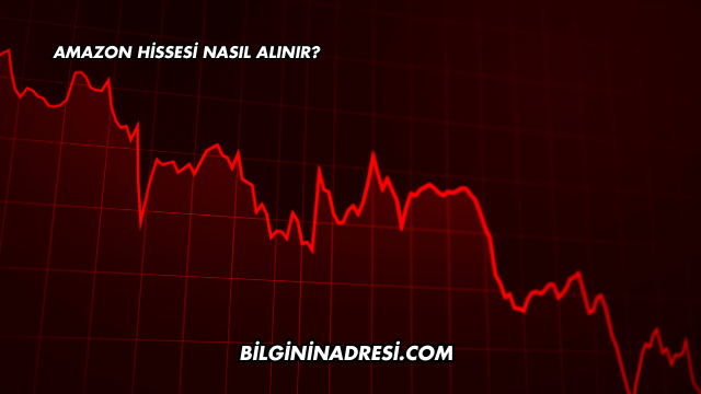Amazon Hissesi Nasıl Alınır?