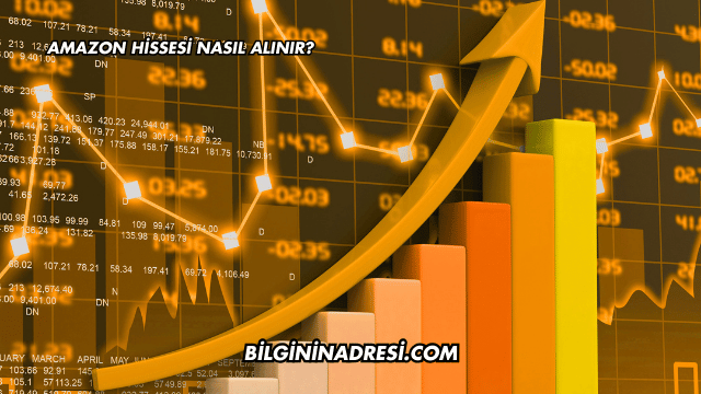 Amazon Hissesi Nasıl Alınır?