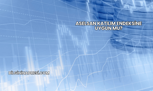 Aselsan Katılım Endeksine Uygun mu?