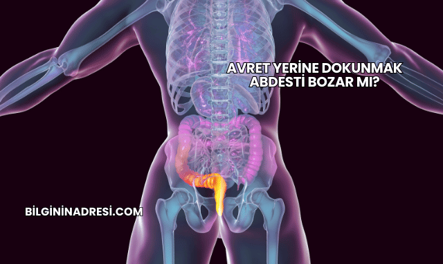 Avret Yerine Dokunmak Abdesti Bozar mı?