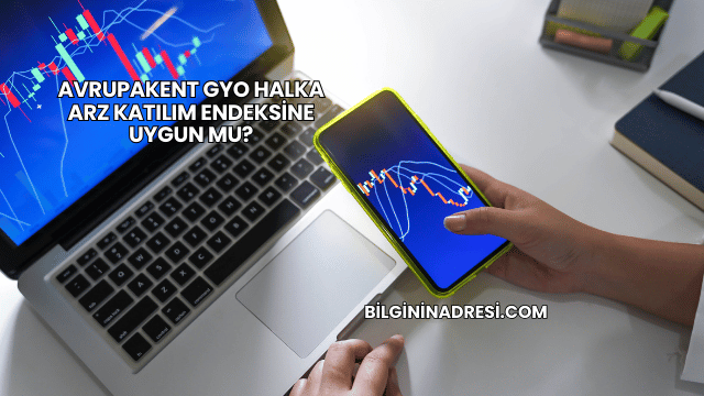 Avrupakent GYO Halka Arz Katılım Endeksine Uygun mu?