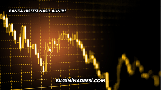 Banka Hissesi Nasıl Alınır?