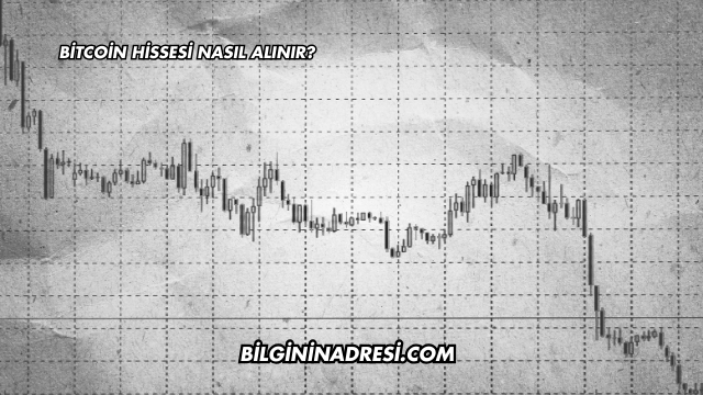 Bitcoin Hissesi Nasıl Alınır?