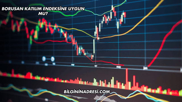 Borusan Katılım Endeksine Uygun mu?