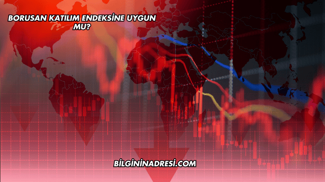 Borusan Katılım Endeksine Uygun mu?