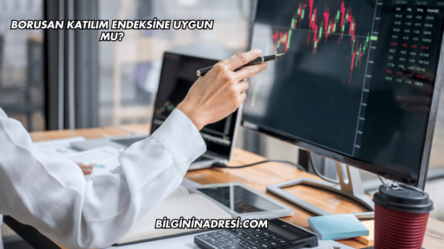 Borusan Katılım Endeksine Uygun mu?