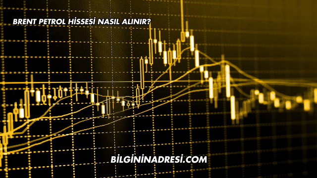 Brent Petrol Hissesi Nasıl Alınır?
