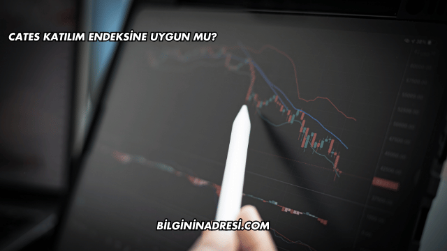 CATES Katılım Endeksine Uygun mu?