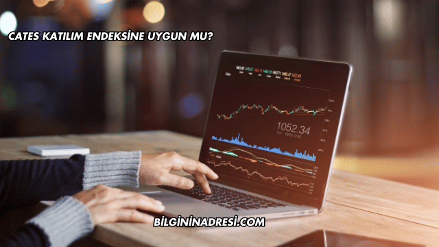 CATES Katılım Endeksine Uygun mu?