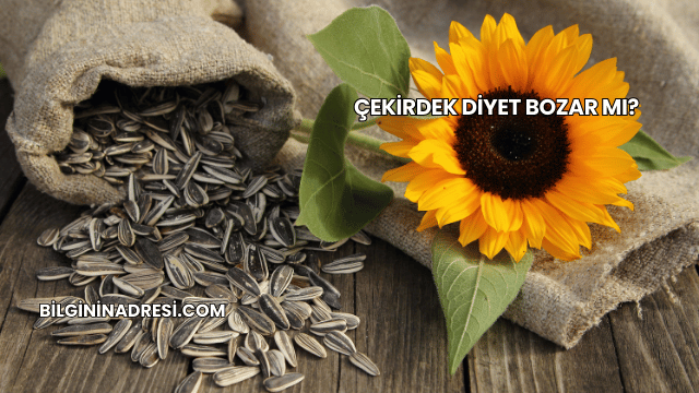 Çekirdek Diyet Bozar mı?