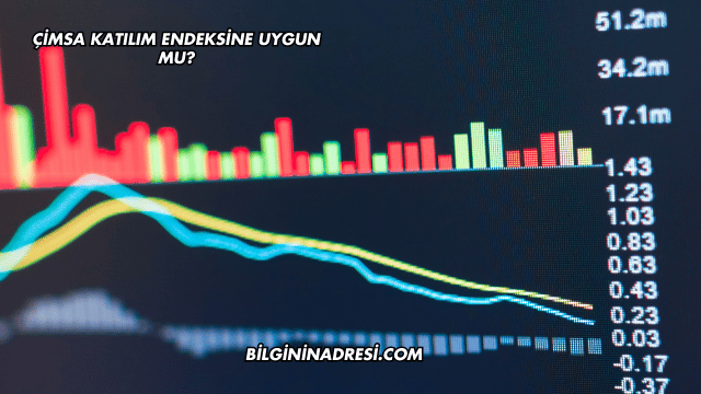 Çimsa Katılım Endeksine Uygun mu?
