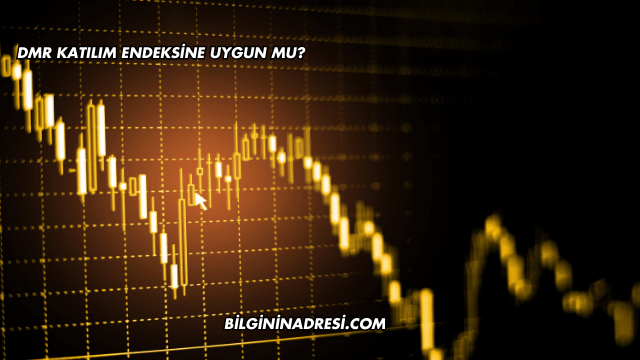 DMR Katılım Endeksine Uygun mu?