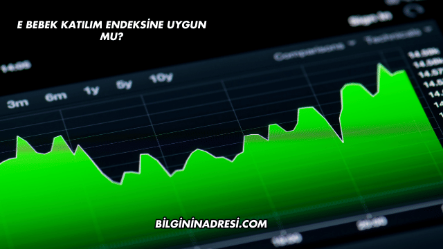 E Bebek Katılım Endeksine Uygun mu?