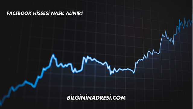 Facebook Hissesi Nasıl Alınır?