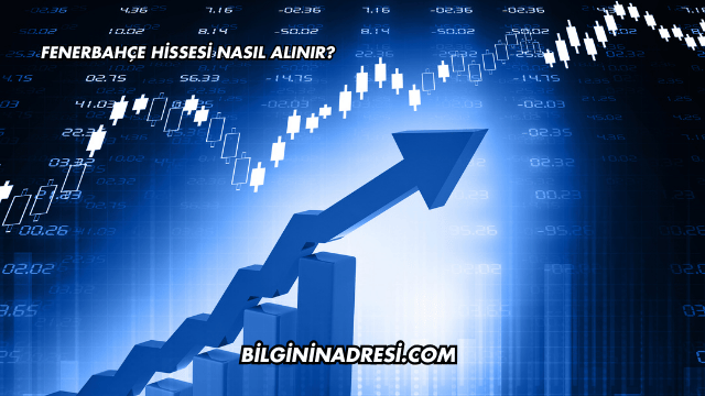 Fenerbahçe Hissesi Nasıl Alınır?