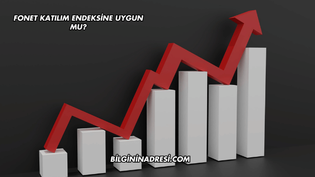 Fonet Katılım Endeksine Uygun mu?