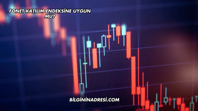 Fonet Katılım Endeksine Uygun mu?