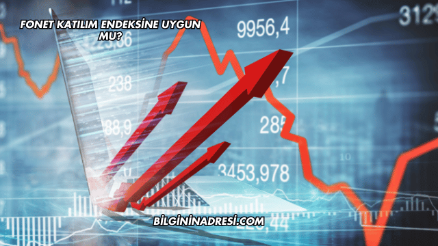 Fonet Katılım Endeksine Uygun mu?