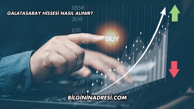 Galatasaray Hissesi Nasıl Alınır?