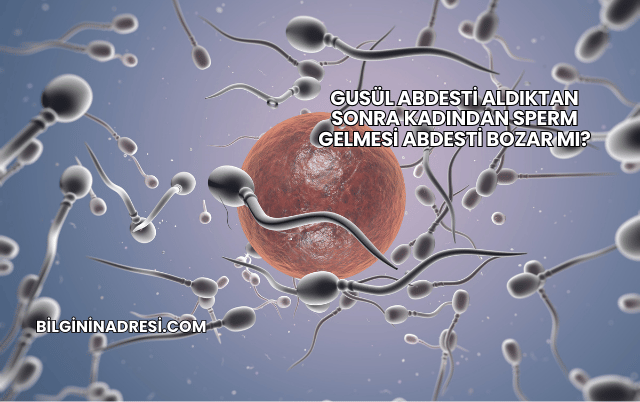 Gusül Abdesti Aldıktan Sonra Kadından Sperm Gelmesi Abdesti Bozar mı?