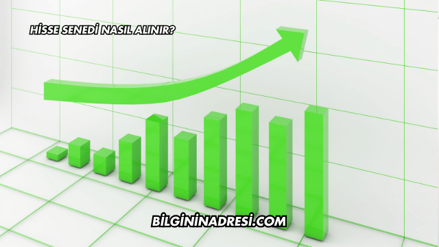Hisse Senedi Nasıl Alınır?