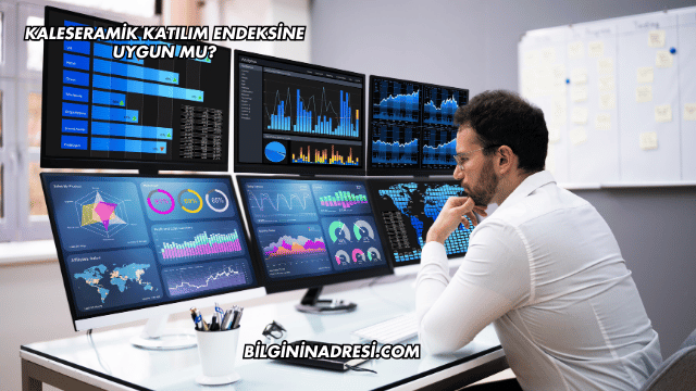 Kaleseramik Katılım Endeksine Uygun mu?