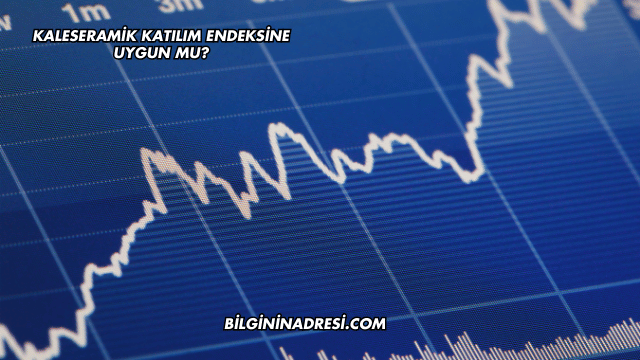 Kaleseramik Katılım Endeksine Uygun mu?