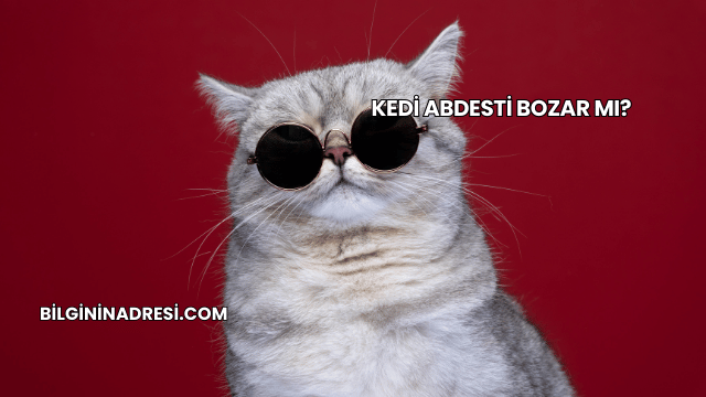 Kedi Abdesti Bozar mı?
