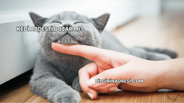 Kedi Abdesti Bozar mı?
