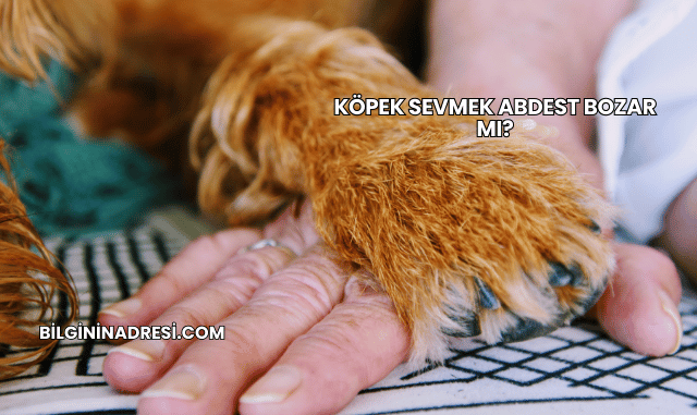 Köpek Sevmek Abdest Bozar mı?
