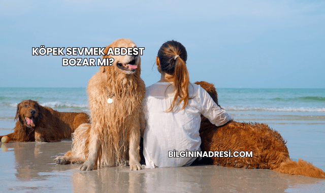 Köpek Sevmek Abdest Bozar mı?